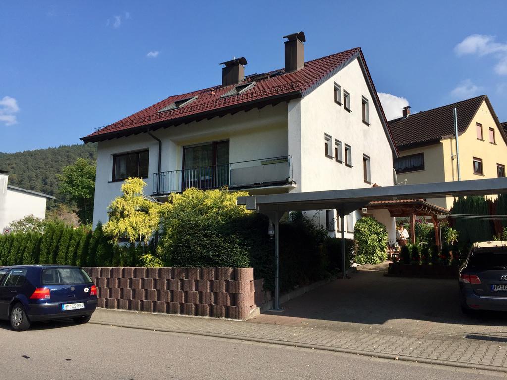 Romantisches Hirschhorn Am Neckar Exterior photo